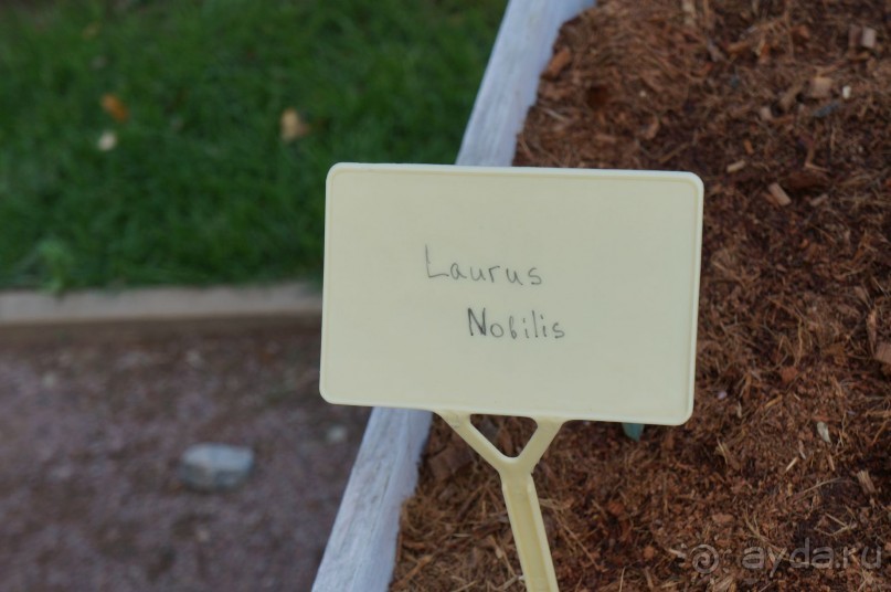 Побыть немного аптекарем