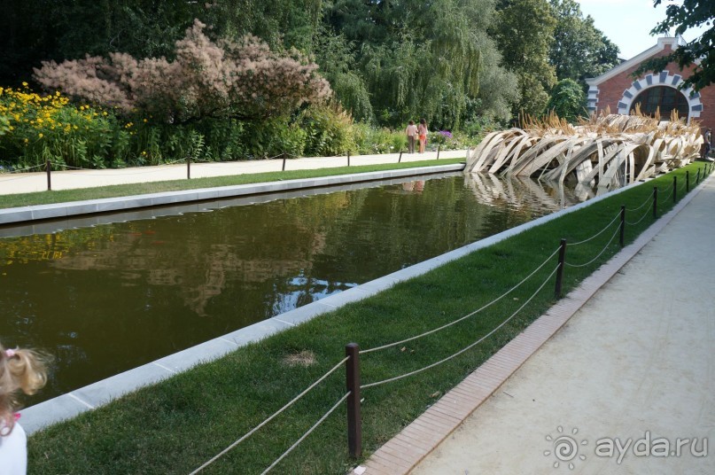 Побыть немного аптекарем