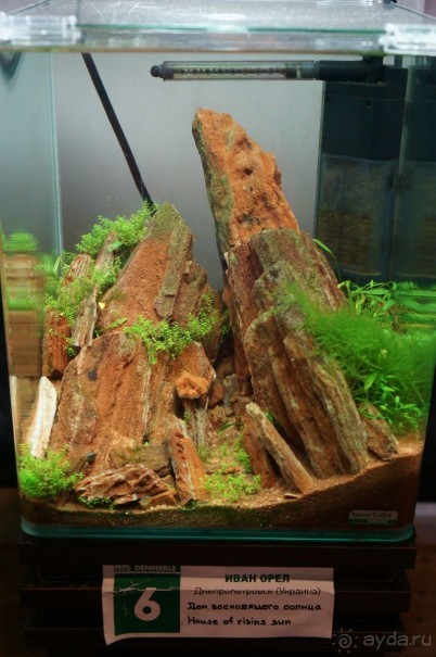 Побыть немного аптекарем