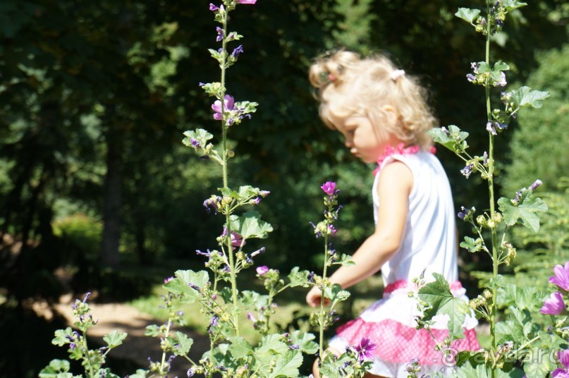 Побыть немного аптекарем