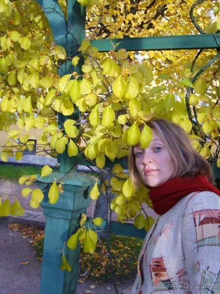 Сентябрьский Петергоф прекрасен