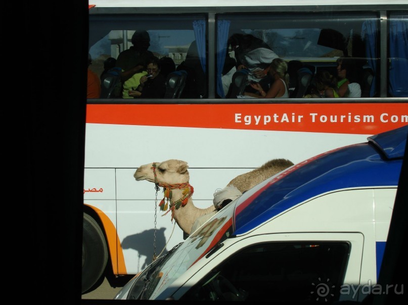 Чуть-чуть о Хургаде