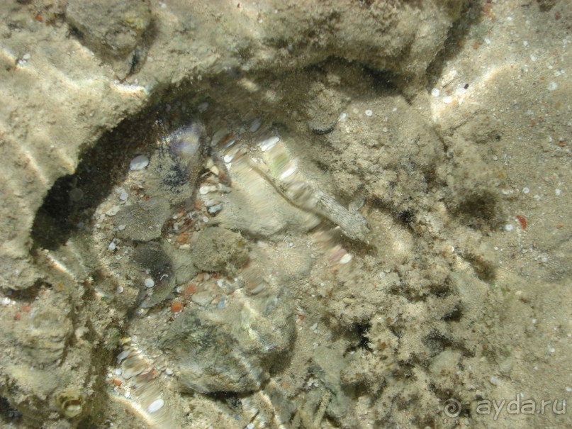 Чуть-чуть о Хургаде