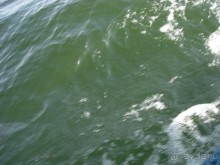 Чуть-чуть о Хургаде