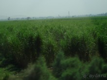 Чуть-чуть о Хургаде