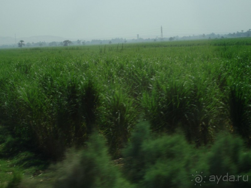 Чуть-чуть о Хургаде