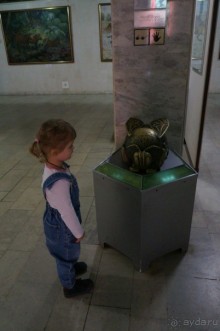 Музей Дарвина - отличное место для любознательных детей