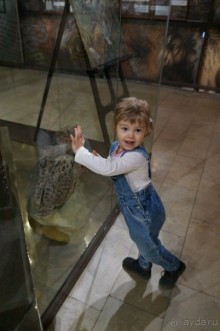 Музей Дарвина - отличное место для любознательных детей