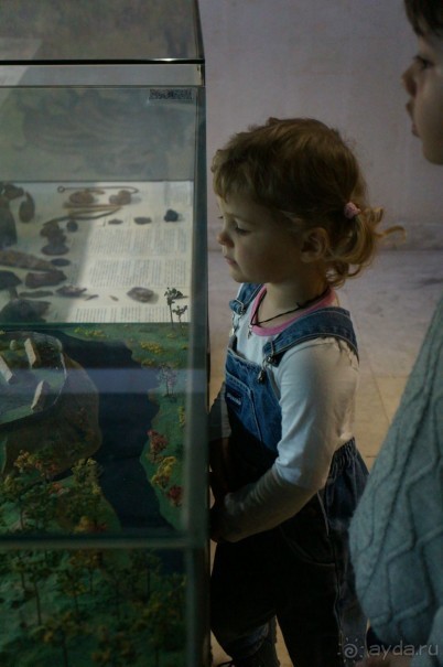 Музей Дарвина - отличное место для любознательных детей