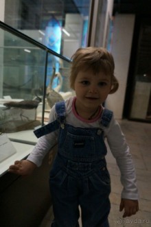 Музей Дарвина - отличное место для любознательных детей