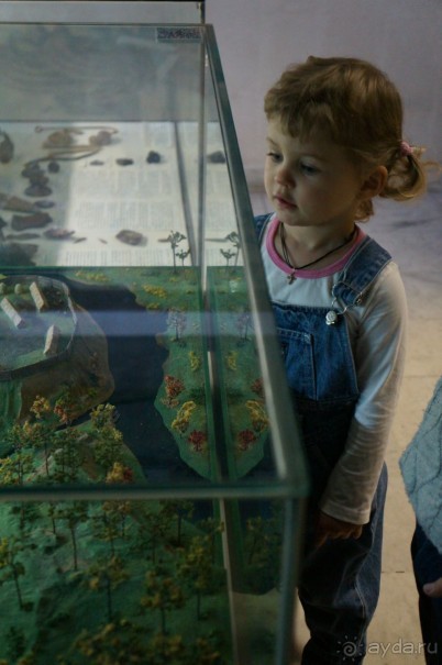 Музей Дарвина - отличное место для любознательных детей