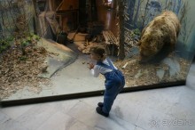 Музей Дарвина - отличное место для любознательных детей