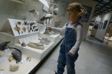 Музей Дарвина - отличное место для любознательных детей