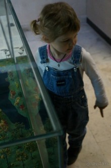 Музей Дарвина - отличное место для любознательных детей