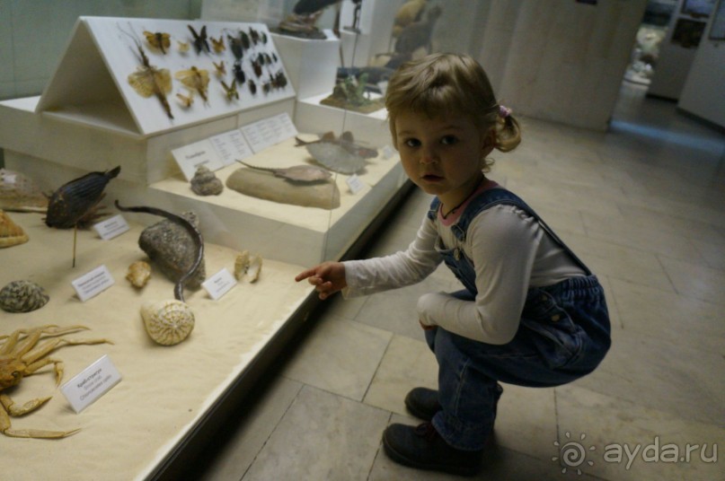 Музей Дарвина - отличное место для любознательных детей