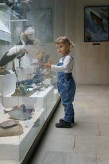 Музей Дарвина - отличное место для любознательных детей