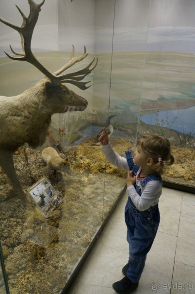 Музей Дарвина - отличное место для любознательных детей