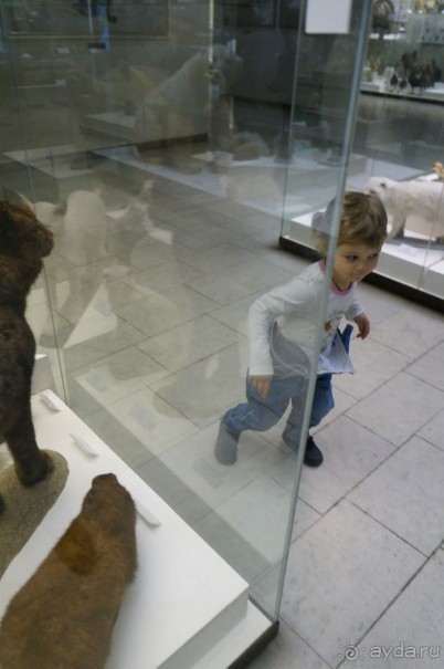 Музей Дарвина - отличное место для любознательных детей