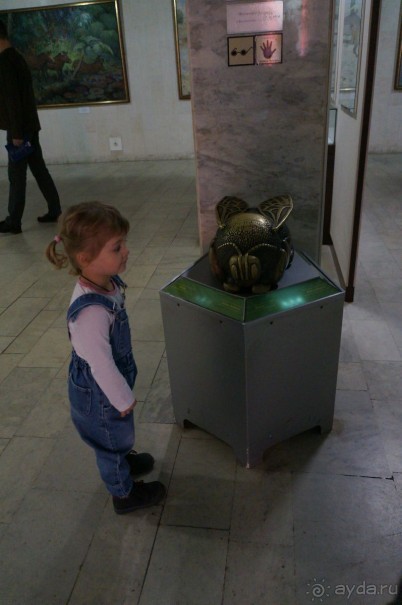 Музей Дарвина - отличное место для любознательных детей