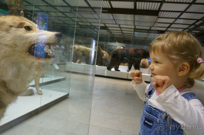 Музей Дарвина - отличное место для любознательных детей