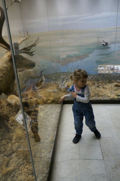 Музей Дарвина - отличное место для любознательных детей