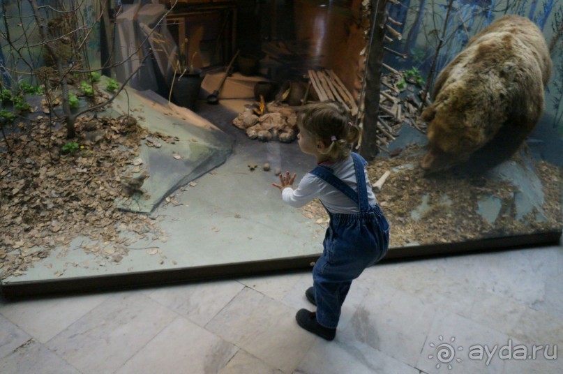 Музей Дарвина - отличное место для любознательных детей