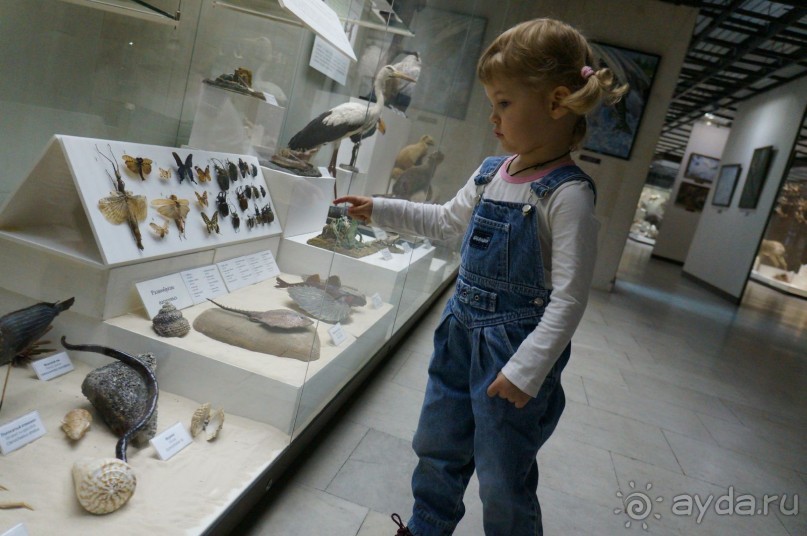 Музей Дарвина - отличное место для любознательных детей