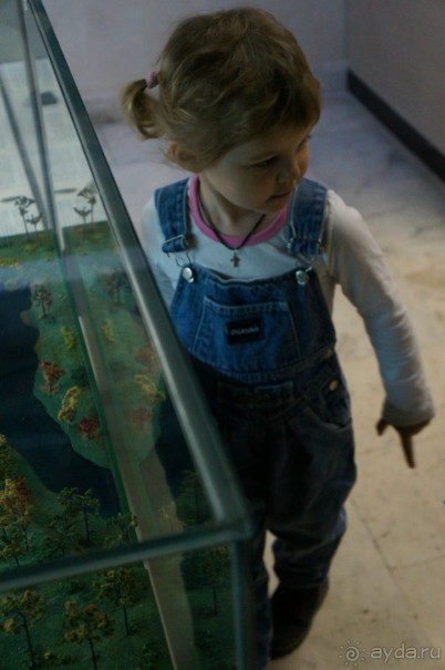 Музей Дарвина - отличное место для любознательных детей