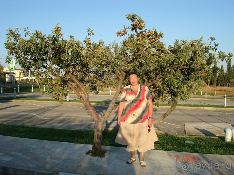 Эгейское море