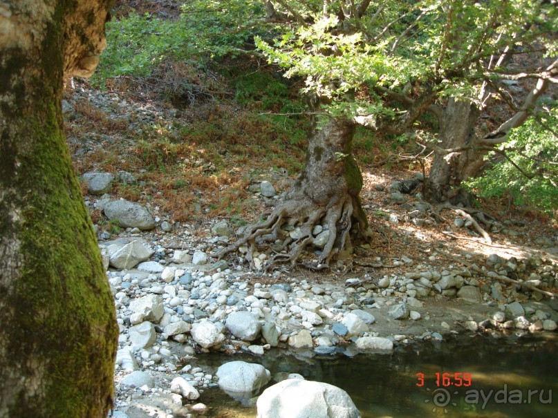 Эгейское море