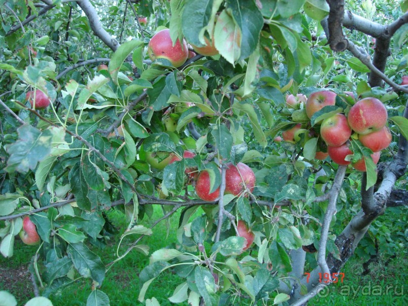 Эгейское море