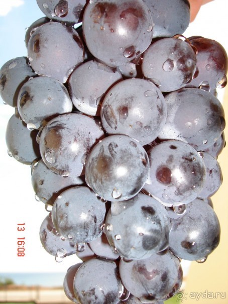 Эгейское море