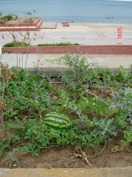 Эгейское море