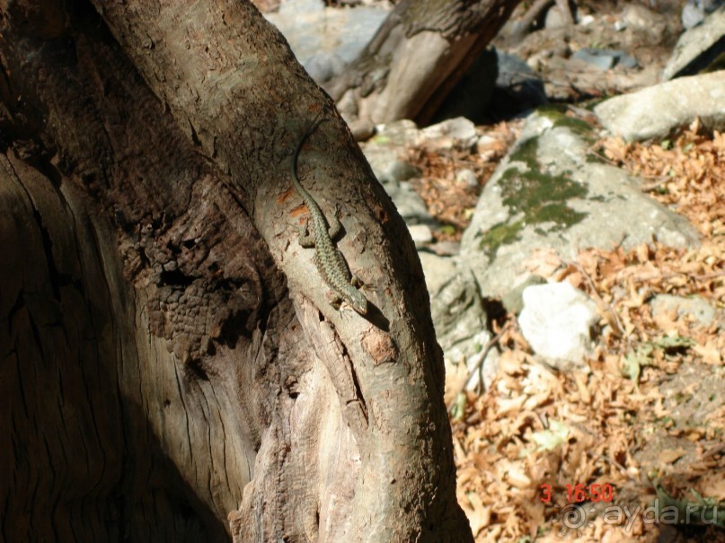 Эгейское море