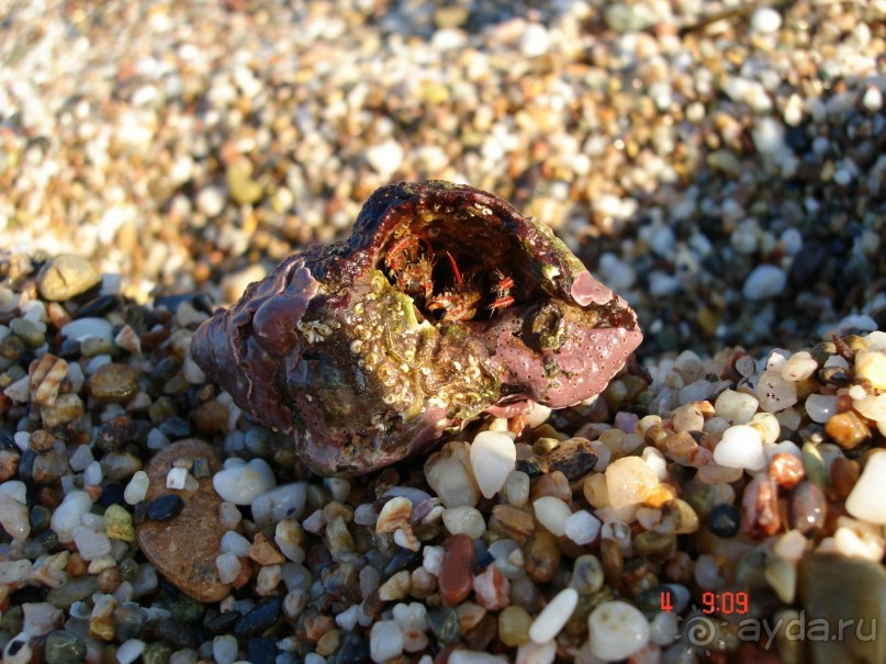 Эгейское море