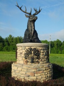 Отличное место для отдыха недалеко от Ясной поляны