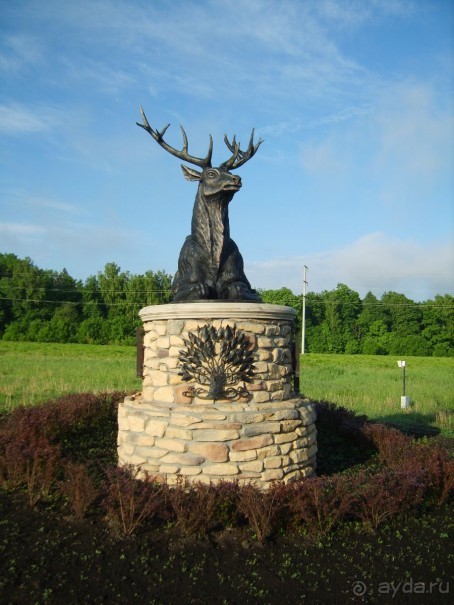 Отличное место для отдыха недалеко от Ясной поляны