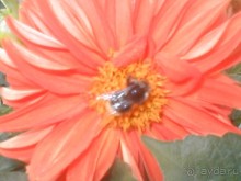 Парк Победы и Поклонная гора