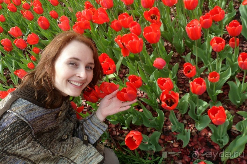 Парк Победы и Поклонная гора