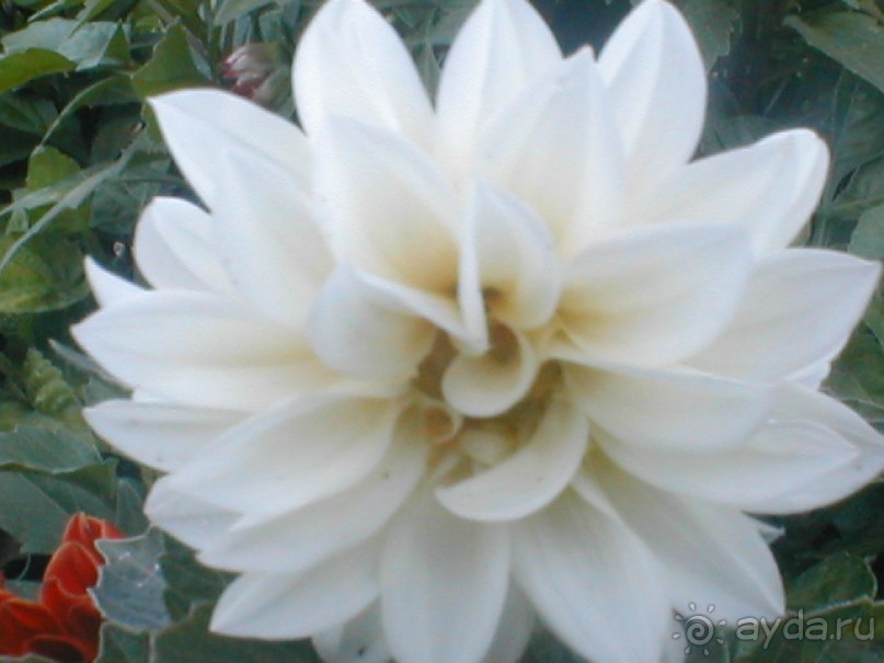 Парк Победы и Поклонная гора