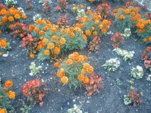 Парк Победы и Поклонная гора