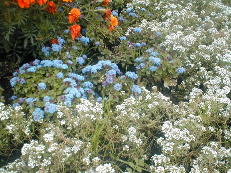 Парк Победы и Поклонная гора