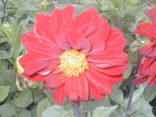 Парк Победы и Поклонная гора