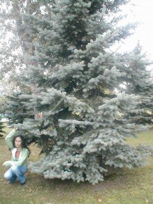 Парк Победы и Поклонная гора