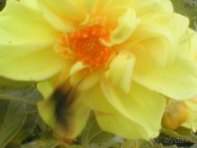 Парк Победы и Поклонная гора