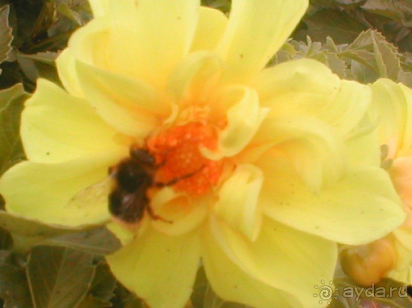 Парк Победы и Поклонная гора