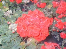 Парк Победы и Поклонная гора