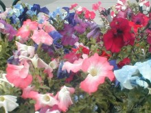 Парк Победы и Поклонная гора