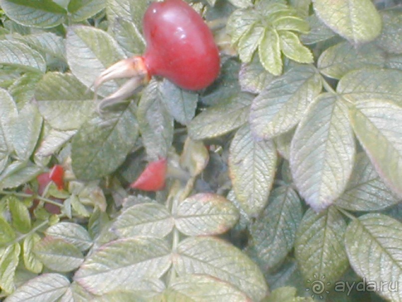 Парк Победы и Поклонная гора