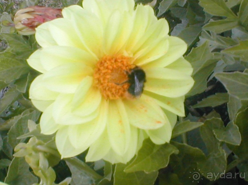 Парк Победы и Поклонная гора